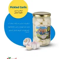 رب گوجه ، خیارشور ، زیتون آریامنش|عمده‌فروشی|شیراز, نیستان|دیوار