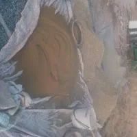 بذریونجه ریشه تلخ همدانی درسرولایت