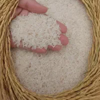 برنج ایرانی به صورت عمده و خرده