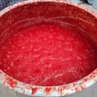 رب گوجه خانگی(سنتی)