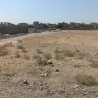 زمین-باغی