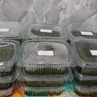 ترشی خانگی|خوردنی و آشامیدنی|میناب, |دیوار