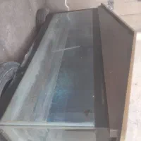 آکواریوم|ماهی|شیراز, محراب|دیوار