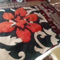 گلیم ۲در۳|گلیم، جاجیم، گبه|مشهد, شهید معقول|دیوار