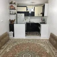 خانه کلنگی ، اپارتمان