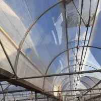 مجوز گلخانه