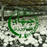 دوره اموزشی پرورش قارچ جهاد کشاورزی