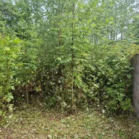 علف و چمن زنی ،سمپاشی ، چاله کنی با دستگاه|خدمات باغبانی و درختکاری|رشت, فرزانه|دیوار