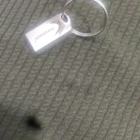 فلش برند پاویتس