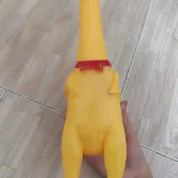 وسایل گربه تخفیف ویژه|لوازم جانبی حیوانات|تهران, جوادیه تهرانپارس|دیوار