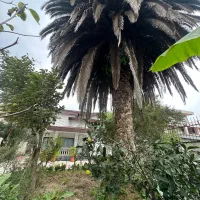 فروش ویلا باغ لوکس ۳۶۰متری درهچیرود