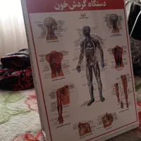 کالبد شناسی آناتومی بدن انسان علوم ورزشی پزشکی|کتاب و مجله آموزشی|مشهد, جانباز|دیوار