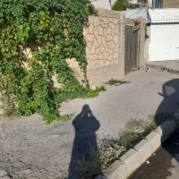 رهن خانه فاضل