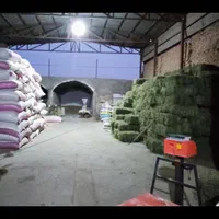 انبار خوراک دام