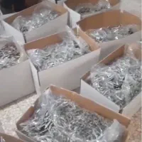ماهی متوتا