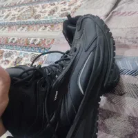 کفش|کیف، کفش، کمربند|نهاوند, |دیوار
