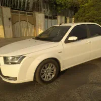 دنا معمولی تیپ ۲، مدل ۱۳۹۵