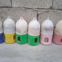 ابخوری کفتر