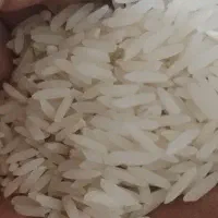 برنج هاشمی و سیاهدم طارم عطری|خوردنی و آشامیدنی|تبریز, |دیوار