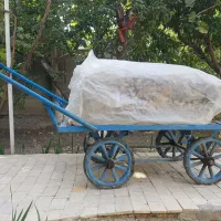 تلویز یون