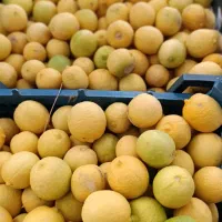 فروش آبغوره و آبلیمو دستی و ارگانیک|خوردنی و آشامیدنی|جنت, |دیوار
