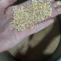 کنجد ارده درجه یک پاکستانی|خوردنی و آشامیدنی|تهران, قیام|دیوار