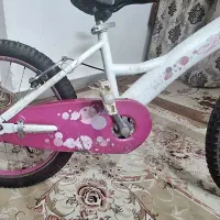 دوچرخه بچه گانه|دوچرخه، اسکیت، اسکوتر|مشهد, شهرآرا|دیوار