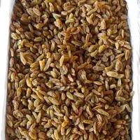 کشمش سبز امساله