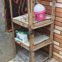 قفس سه طبقه