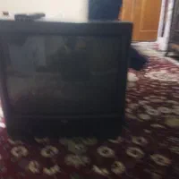 تلویزیون