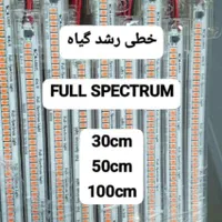 لامپ رشد گیاه