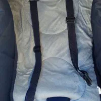 کالسکه مارک دلیجان