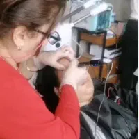 شب یلدا|خدمات آرایشگری و زیبایی|گرگان, |دیوار