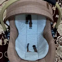 کریردرحدنو