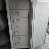 فریزر پنگوئن موتورژاپن
