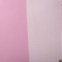 رنگ آمیزی ساختمان پذیرفته میشود..باقراردادکتبی،