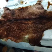 پوست طبیعی
