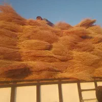 جارو شهرداری