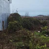 قطعه-زمین-تجاری-و-مسکونی-واقع-در-شهر-لیسار