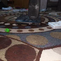 دی‌وی‌دی|صوتی و تصویری|اصفهان, دستگرده|دیوار