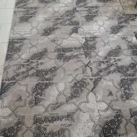 فرش ۶ متری|فرش|تهران, طیب|دیوار