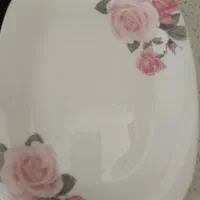 چینی آرکوپال|ظروف سرو و پذیرایی|پاکدشت, پارچین|دیوار