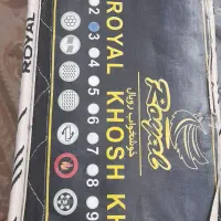 تخت‌مبران‌سفید|تخت و سرویس خواب|رشت, حمیدیان|دیوار