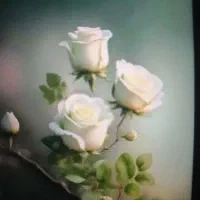 راهنمایی کنید