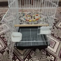 قفس ۱۰۳۲ با لوازم و سرلاک|لوازم جانبی حیوانات|مشهد, رضاشهر|دیوار