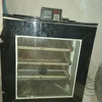 دستگاه‌جوجه‌کشی