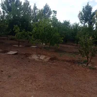 فروش زمین باغ شهری  در کودیان