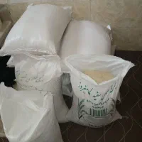 برنج کامفیروزی بشرط پخت