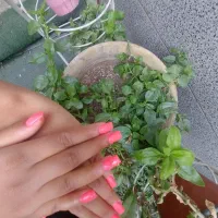 مدل کاشت ناخن