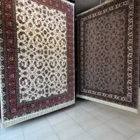 افشان کرم ۷۰۰ شانه اقساطی ۳۶ ماهه